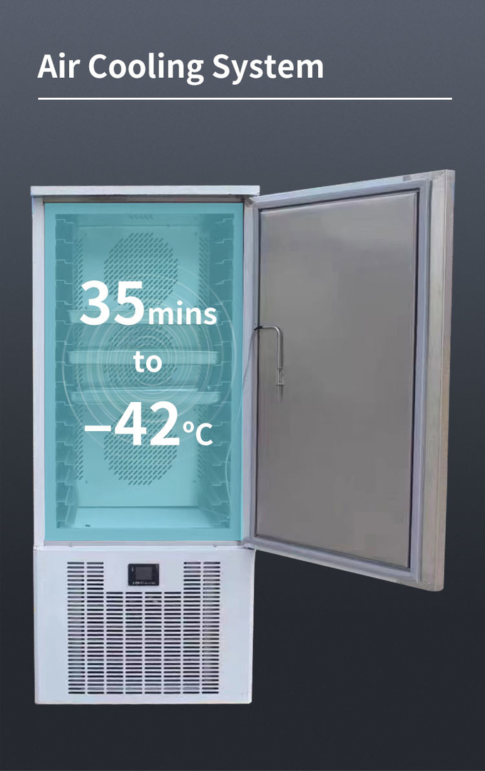 Attrezzatura professionale del congelatore rapido di raffreddamento ad aria dell'abbattitore di temperatura 10 vassoi 6