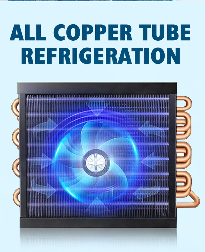 Doppia temperatura di vetro del refrigeratore 980L R290 dell'esposizione della porta di raffreddamento a aria singola 1