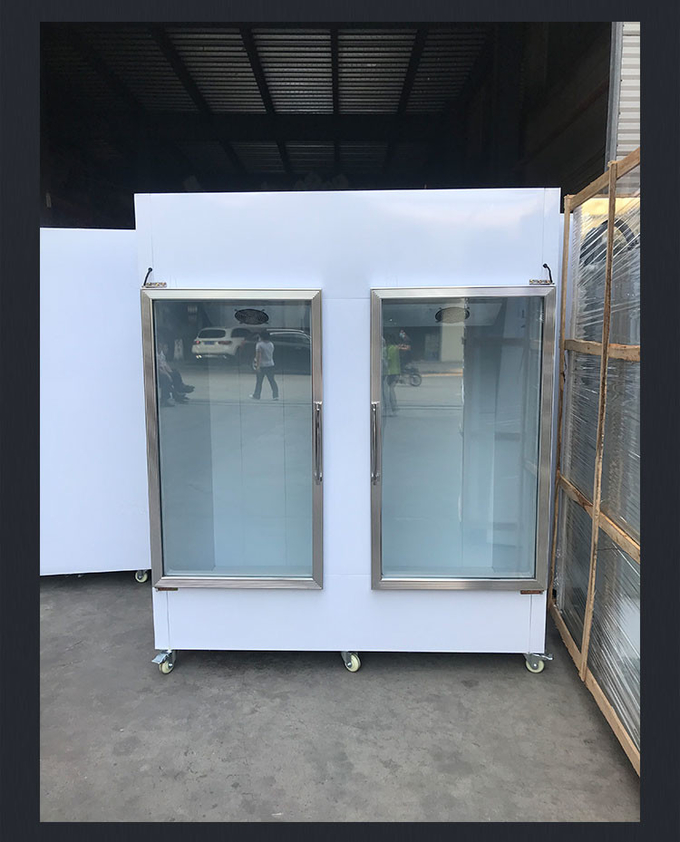 Merchandiser commerciale solido del congelatore del gelato Merchandiser completamente automatico del gabinetto di immersione del congelatore 0