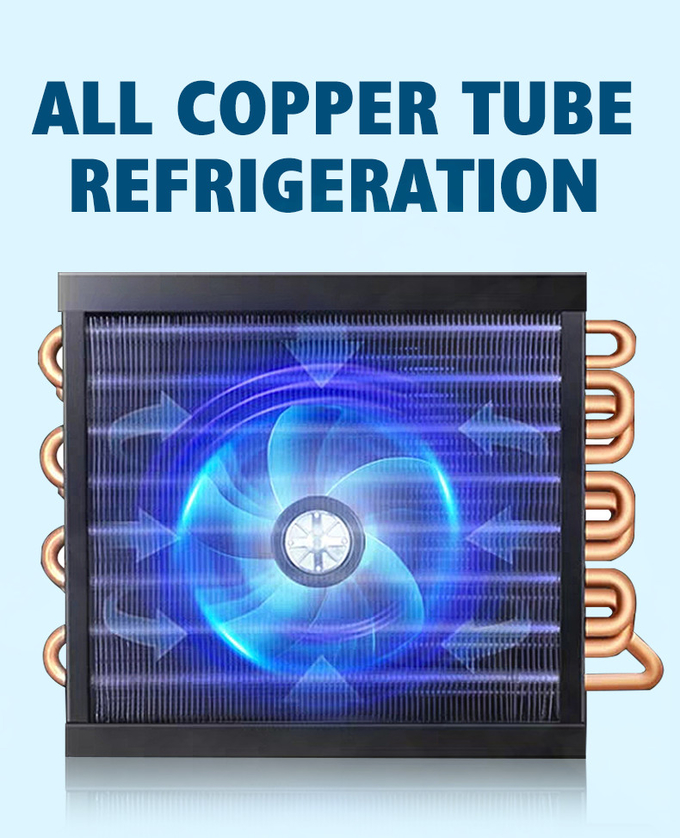 Controllo della temperatura di vetro del refrigeratore 800L Digital dell'esposizione della porta del montante 2 di raffreddamento a aria 1